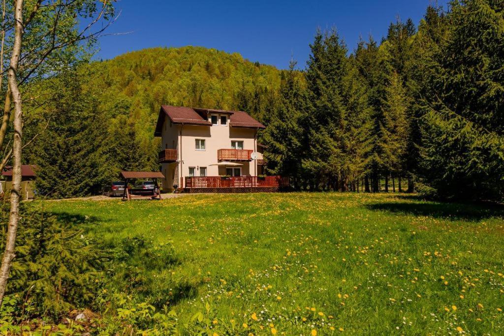 Cabana Zip Zărneşti Eksteriør bilde